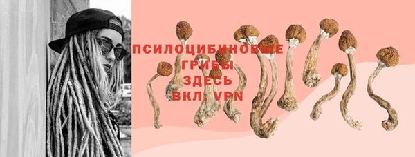 spice Каменск-Шахтинский
