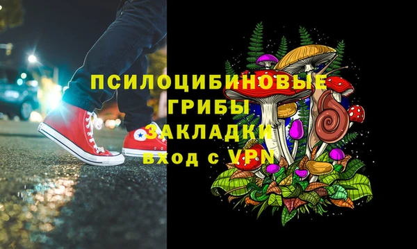 mdma Каменка