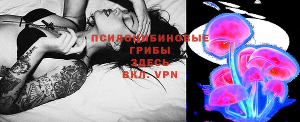 mdma Каменка