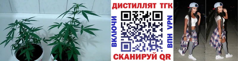 ссылка на мегу ONION  как найти закладки  Щёкино  Дистиллят ТГК вейп с тгк 